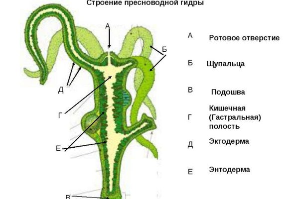 Омг смылка