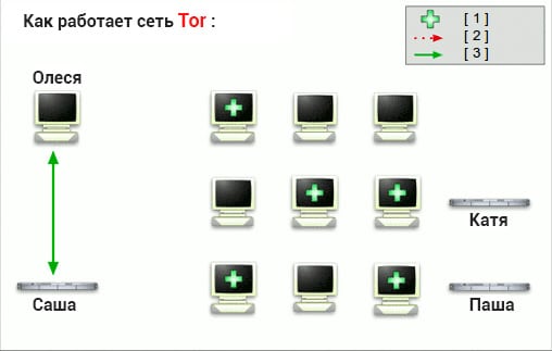 Ссылка омг на telegra ph